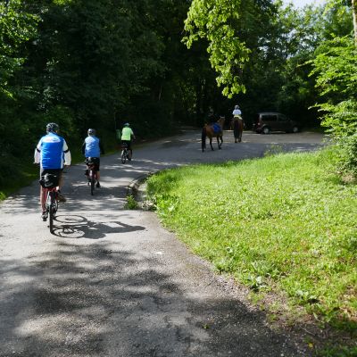 007 am Veloweg nach Ellikon am Rhein